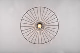 1 Light Ceiling Light Black Matt Metal (1542CHA61451032)